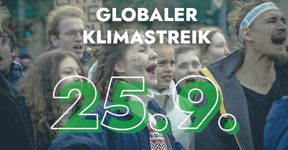 Demo und Aufschrift "Globaler Klimastreik 25.9."